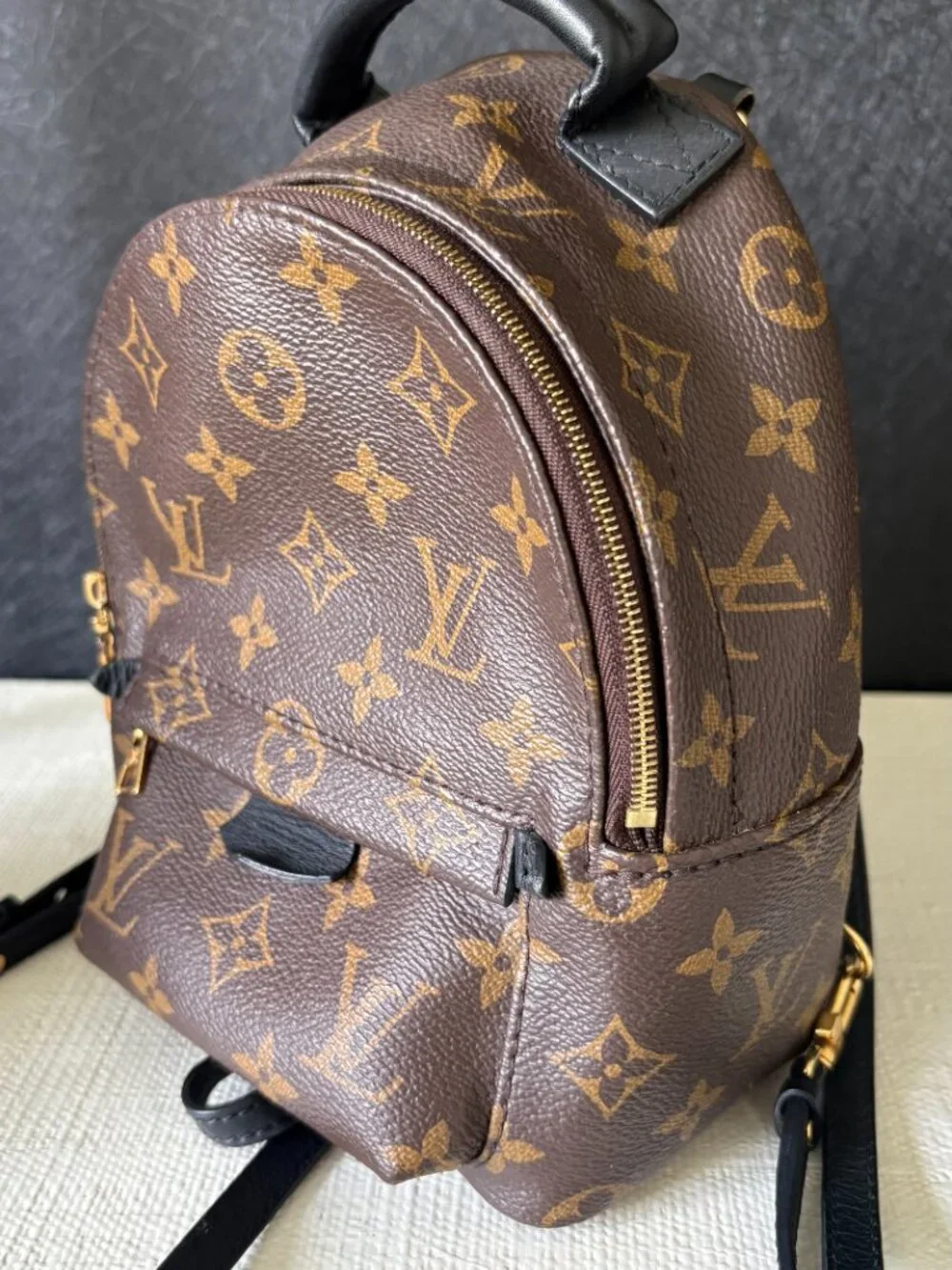 Louis Vuitton Palm Springs Mini Backpack